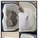원집사 네이버블로그