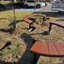 벌교 중앙초교 이미지