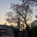 이마트24 인천신포역점 | 인천 문학경기장 SSG 랜더스 vs 두산 베어스 직관 후기