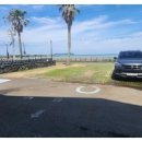 제주애견동반솔펜션 이미지