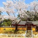 경주 숙소 - 한적한 경주 월암재 숙박 이미지