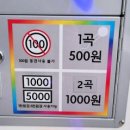 오디션코인노래연습장 이미지