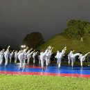 용인대금메달태권도 이미지