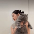 츄르 때문에 참은 고양이 이미지