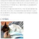 고양이 케어하는 방법 공유 합니다. (이빨닦기, 드라이기,목욕,영양제,발톱깍기, 약 먹이기 등등) 이미지