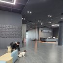 1894 | 전북 실내 가볼만한곳 정읍 국가유산 미디어아트관 1894 달하루 할인 방문 후기