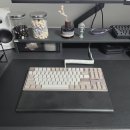 [내돈내산] TX팜레스트 aka 줄팜레스트 한달 사용 후기