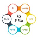 국내 유명 전문의 20人이 말하는 건강 10 계명 이미지