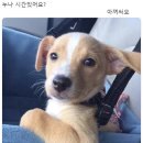 나로고등학교 이미지