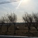 은혜농장2 이미지