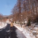 생거진천자연휴양림 이미지