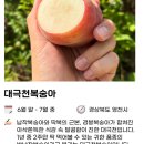 달콤한농부(sweet farmer) | 🍑 월척농부의 대극천복숭아 구매후기 🍑