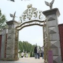 무심교옆 | 서울근교 가을 나들이 벽초지수목원 가을꽃 국화축제