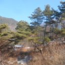 무릉도원면-1 이미지