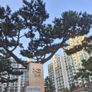 백합유치원 | 산본11단지 통합재건축 선도지구 임장후기