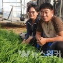 대촌농장 이미지