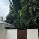 무라소원 | [제주 서귀포] 무라소원 ROOM 소원 후기 / 제주 서귀포 남원 자쿠지 독채 숙소 감성 숙소