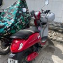 (주)칸모터스 | 보다만 치앙마이 8 - 태국 경찰 오토바이 단속