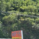 보광종합 | 강릉 계곡 맛집 보광가든 후기 14개월 아기와 백숙 먹방