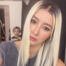 황보 세계일보