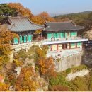 동빈목장 | 포항 여행iQ를 높여라!! (feat.동해미행)