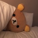 우리 이비인후과의원 | 독감 증상/잠복기/독감수액,검사 가격 후기/독감 약/하단 이비인후과