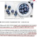 갑자기 | 변비 원인 후기, 갑자기 생긴 변비 검사까지 받아본 기록