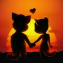 달달한 고양이 이미지