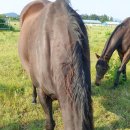 우승목장 이미지