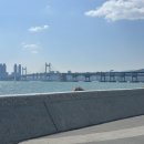 모모스커피 마린시티점 이미지