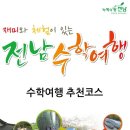 전라남도 신안군 안좌면 퍼플교 이미지