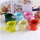 (봄맞이) 홈가드닝 이미지