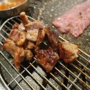 화순갈매기