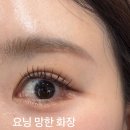 메종드아모르