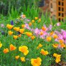 봉래산로 이미지