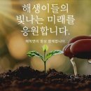 킹스포인트 이미지