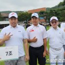 도경텔레콤