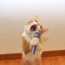 성산 노래연습장 이미지