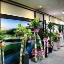 태영스크린 이미지