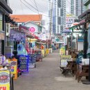 청호동 신수로 | 속초가볼만한곳 한국관광공사 속초체험여행