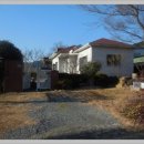 진전면100 이미지