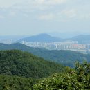 양성산 티스토리