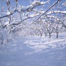 원빈농장 이미지