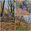 의재미술관 이미지