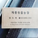 계룡동물농장 흑염소 고기 & 엑기스(진액,즙) 배달 & 대전흑염소엑기스배달편 & 전국어디든가능 이미지