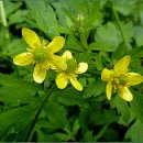 섬진강종주3 이미지