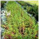 등불농장 이미지