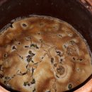 탱자몰 산동점 | 자연산 개다래 충영 열매 효소 발효액 담그는법(전통항아리에 담은 야생 개다래 충영 효소 발효액 판매...