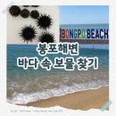 GS25 구룡포해변점 | 봉포해변 스노쿨링 후기｜성게부터 전복까지 발견한 고성 바다