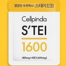 미나스테이